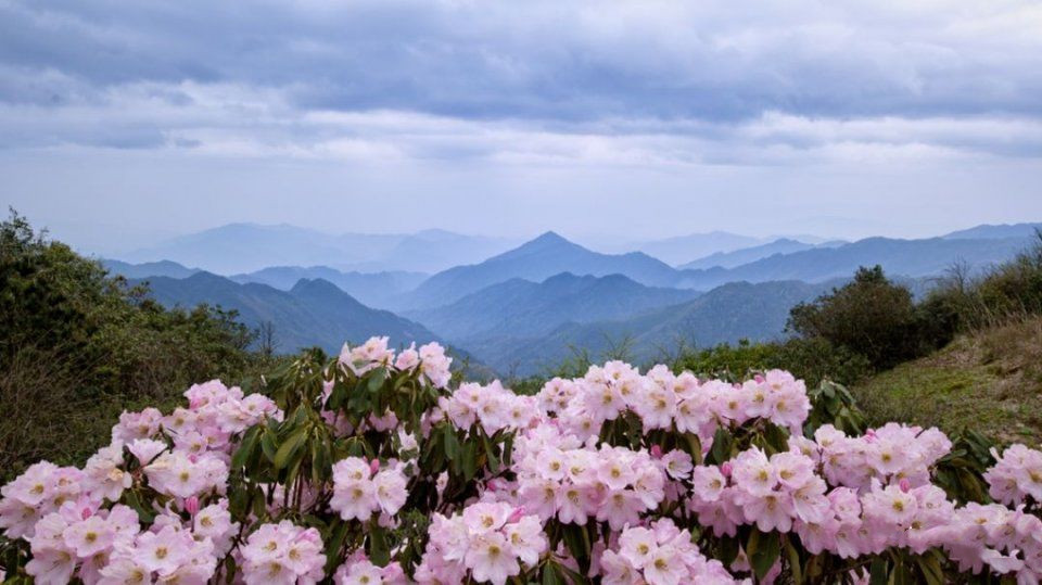 微信圖片_20190701090741.png