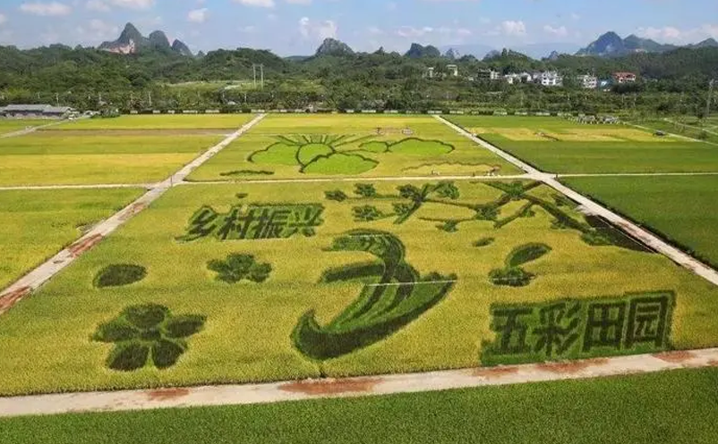 鄉(xiāng)村旅游創(chuàng)新機會玩法：農(nóng)旅+劇本殺 
