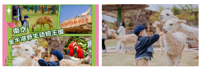 “次新”景區(qū)借互聯(lián)網(wǎng)引客源滾滾來(lái)，挖掘游客真需求讓銷量節(jié)節(jié)高 