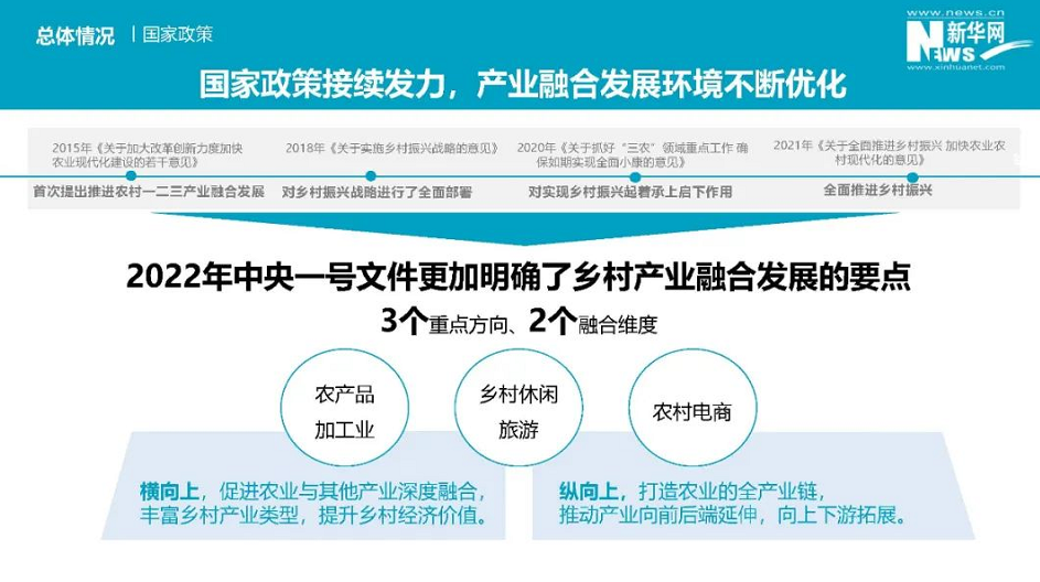 2022中國鄉(xiāng)村振興產(chǎn)業(yè)融合發(fā)展報告 