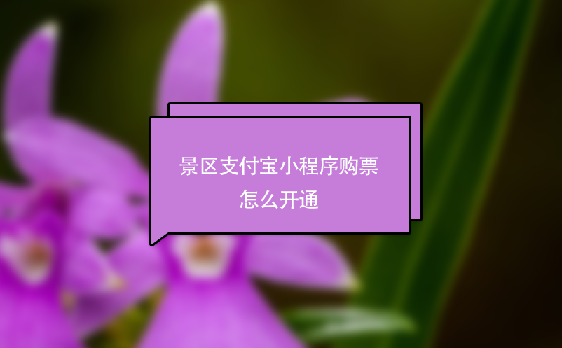 景區(qū)支付寶小程序購票怎么開通？