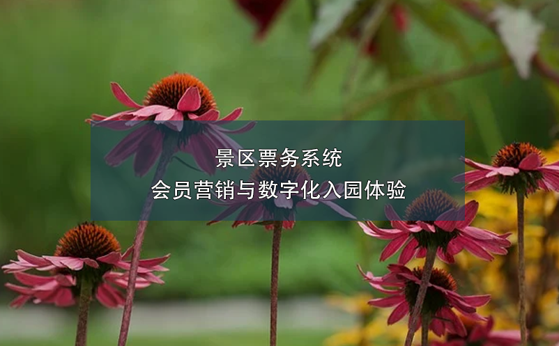 景區(qū)票務(wù)系統(tǒng)會員營銷與數(shù)字化入園體驗(yàn)